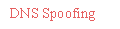 DNS Spoofing